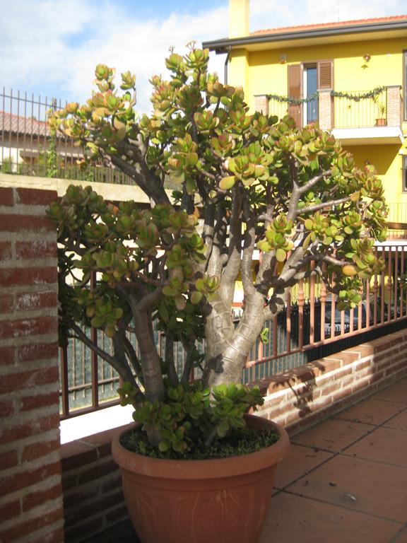 Villa Nina Trecastagni Luaran gambar